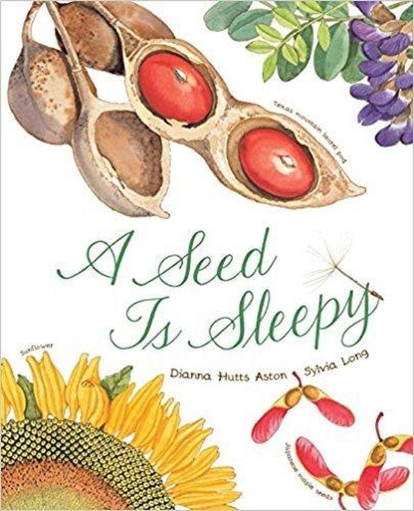 A Seed is Sleepy cover image