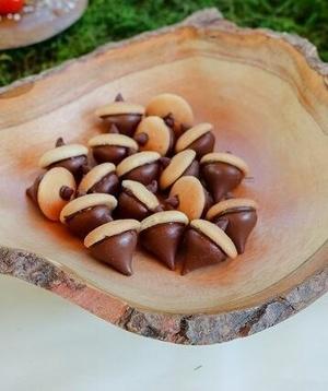 Nature Cat birthday party Acorn Treats