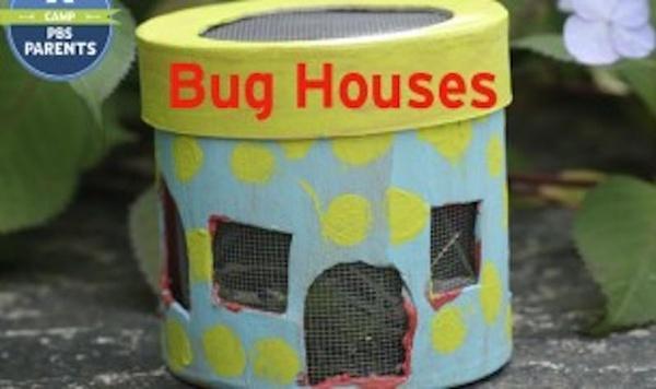 Image of bug house feature