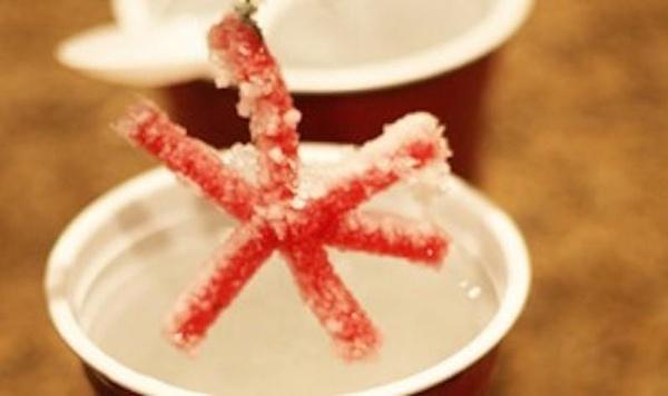 Image of DIY snowflake decorations feature