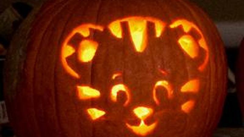It's time to get carving! Create unique PBS-themed jack-o-lanterns by printing out your favorite stencil, tracing it onto your pumpkin, and carving carefully using a kitchen knife. Our templates will make carving Halloween pumpkins a breeze!