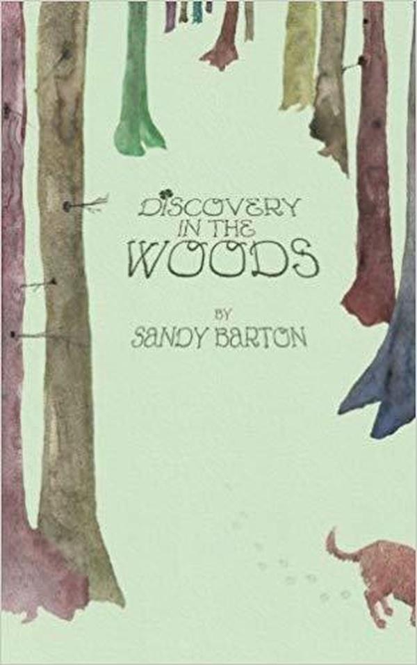 Discovery In The Woods: A St. Patrick’s Day Surprise cover image