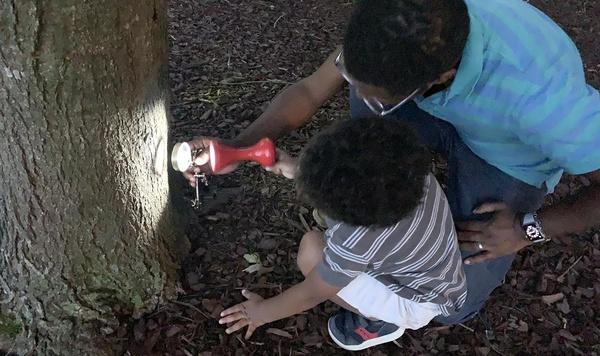 A father and son use their nighttime observation kit to examine a tree with a flashlight and a magnifying glass while exploring at night.