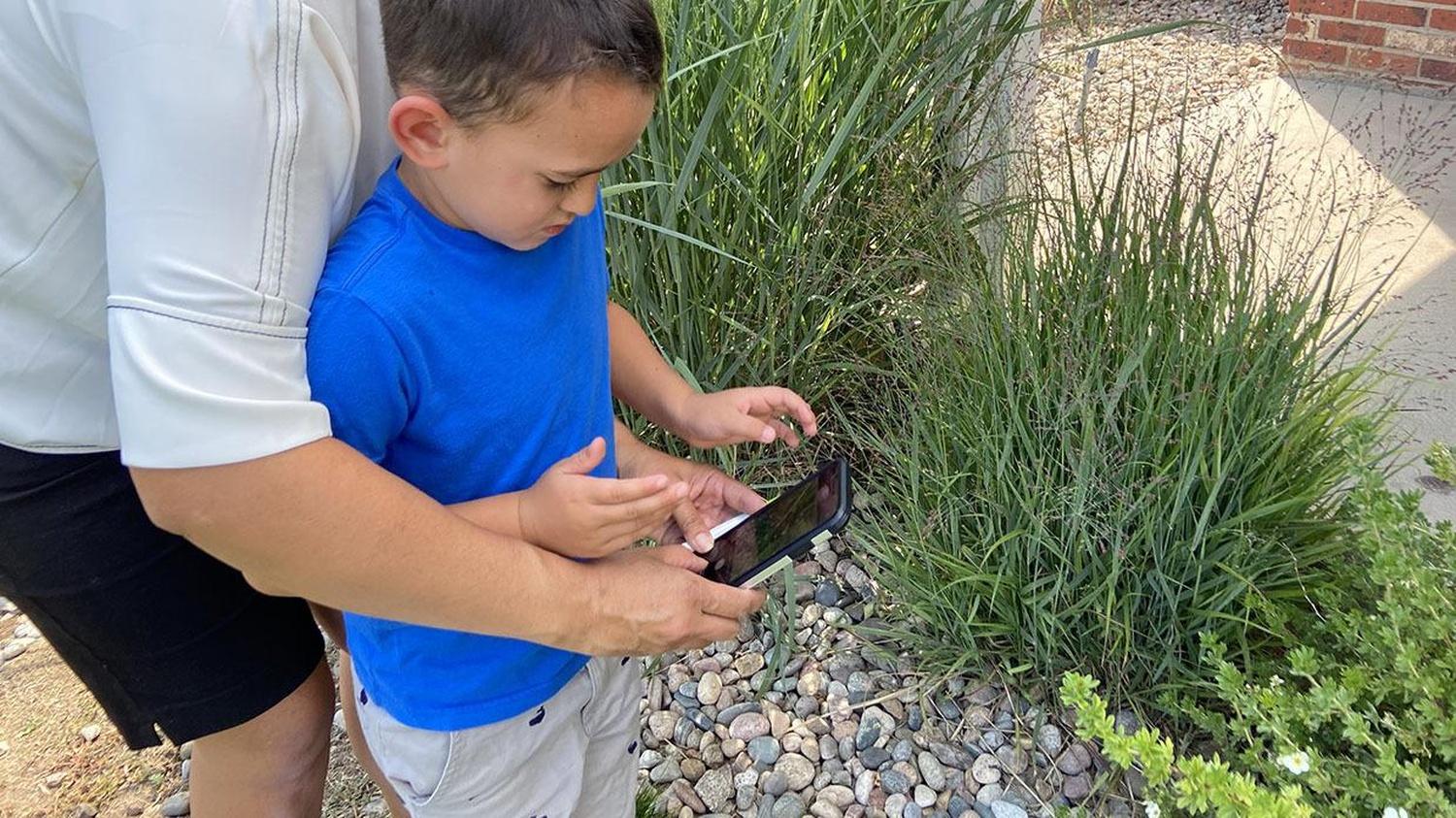 Nature Observation Bingo | Crafts for Kids | PBS KIDS for Parents