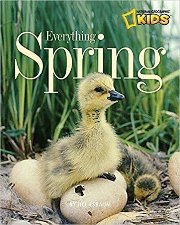 Everything Spring cover image