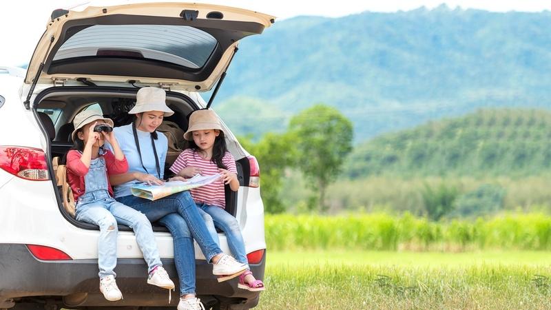 Parent and two children looking at a map while sitting in the tailgate of a car in a national park.