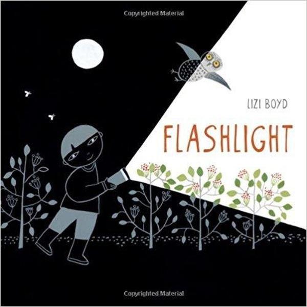 Flashlight cover image