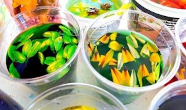 Image of flower potions feature