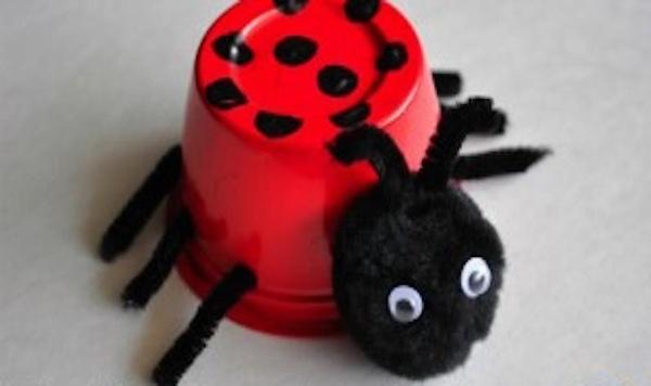 Image of fruit cup ladybug feature