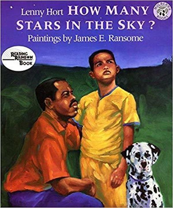 How Many Stars in the Sky? cover image