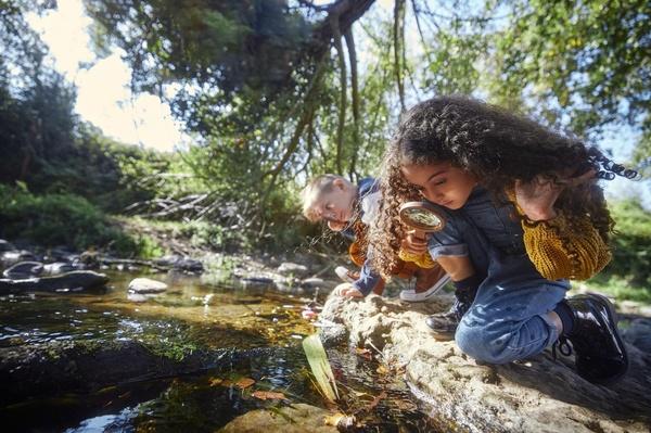 Children exploring outside.