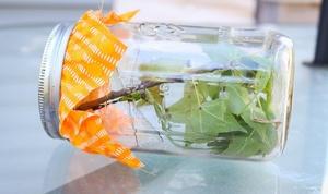 Nature Cat birthday party Bug Jar