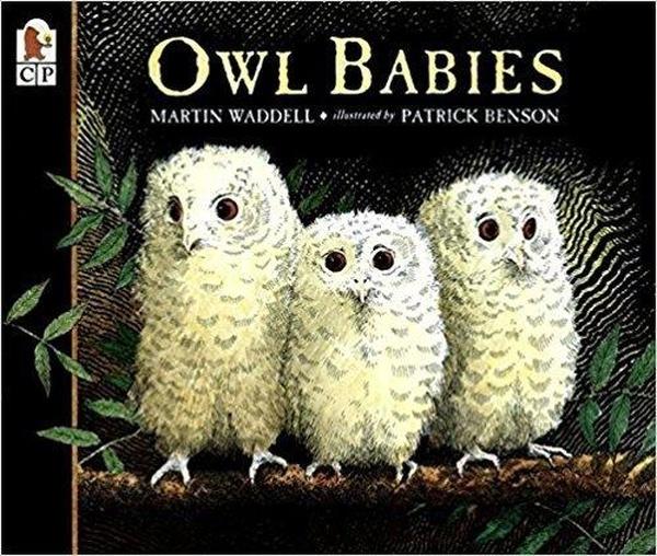 Owl Babies cover image