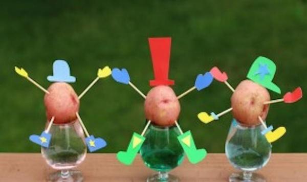 Image of potato sprout people feature
