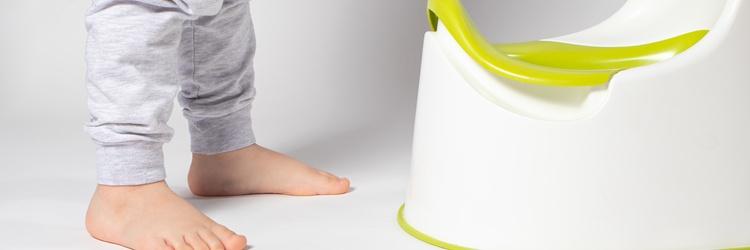 Potty Training Your Toddler
