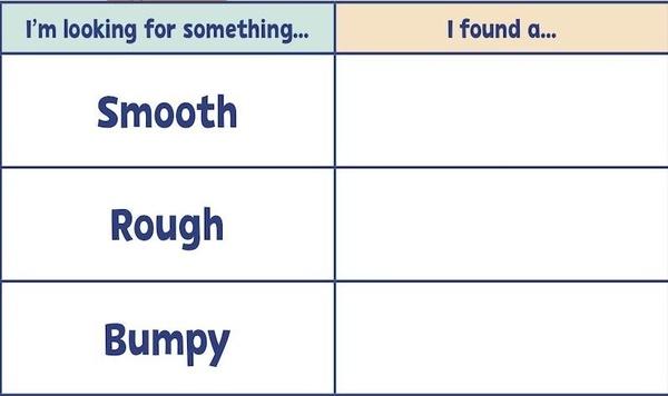 Image of ruff and smooth scavenger hunt chart