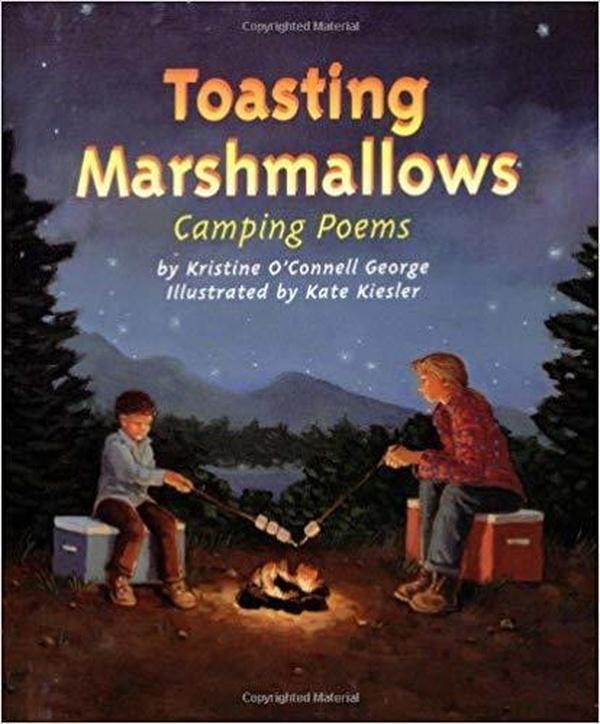 Toasting Marshmallows: Camping Poems cover image