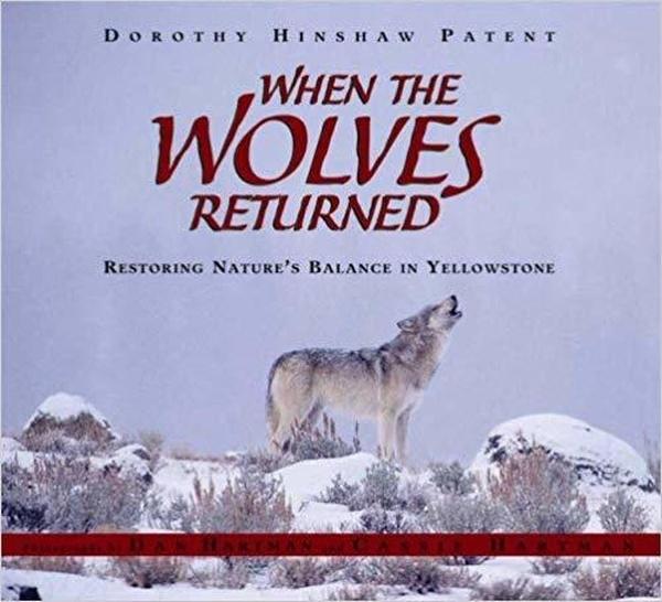 When the Wolves Returned: Restoring Nature’s Balance in Yellowstone cover image