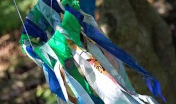 Image of windsock feature