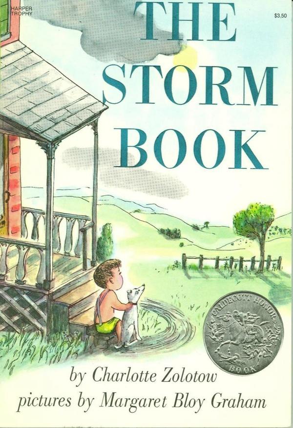 The Storm Book cover image