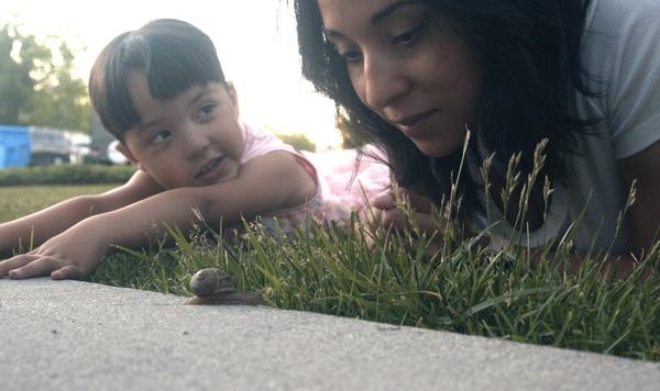 Image of mother and child observing a snail.
