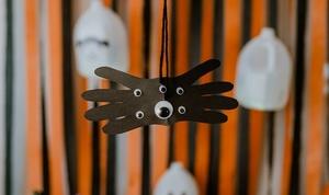Spider craft.