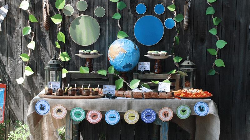 Image of Wild Kratts birthday party