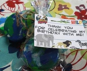 Image of Wild Kratts birthday party earth favors