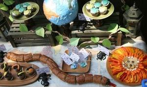 Wild Kratts birthday party table spread