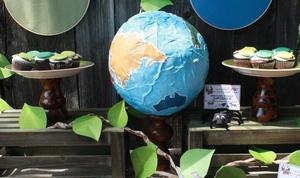 Wild Kratts birthday party Earth centerpiece