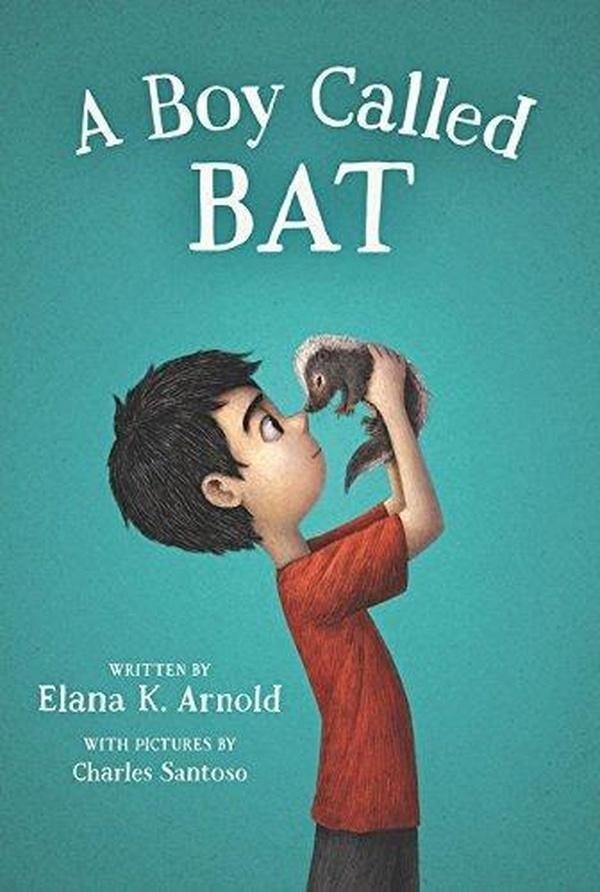Image of A Boy Called Bat