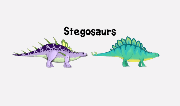 Two types of Stegosaurs