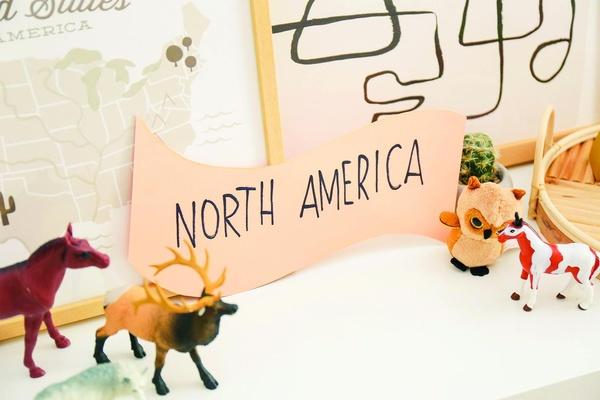 Image of plastic animals and a sign saying North America.