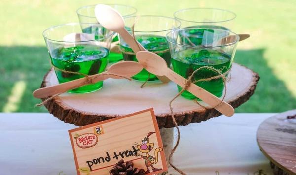 Jello Pond Treat