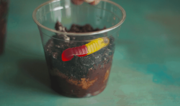 “Tierra comestible” terminada con pudín de chocolate, galletitas graham, galletas de chocolate machacadas, y una gomita de gusano.