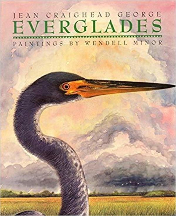 Everglades cover image