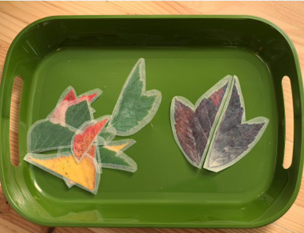 Image fall leaf puzzles