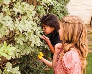 Children smelling flowers.