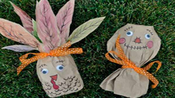 Image of harvest shakers