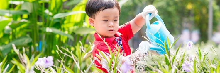 Cosas que crecen: Plantas y árboles