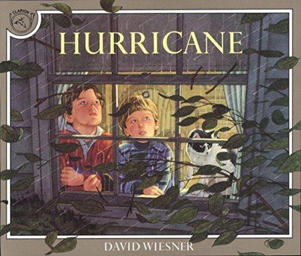 Image of Hurricane