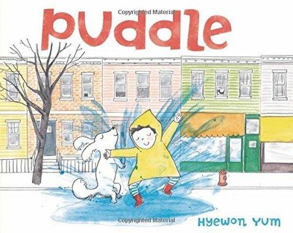 Image of Puddle