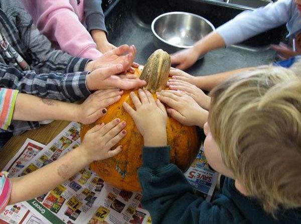 Image of pumpkin math