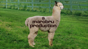 Marobru Productions (opens in new window)